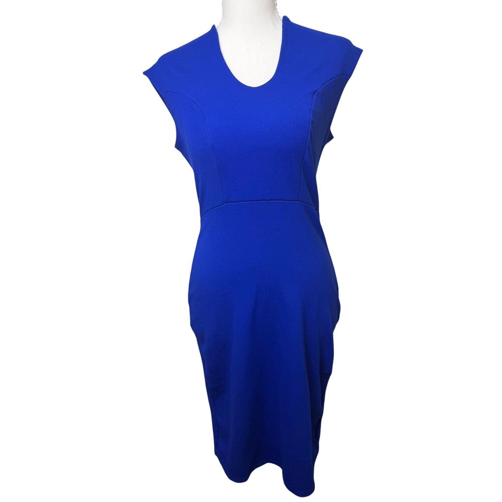 Rolla Coster Royal Blue Bodycon Sheath Dress Exposed Back Zipper